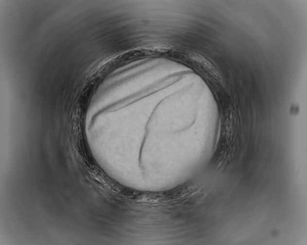 X0000099500773200806121415