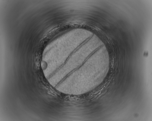 X0000099500774200806121415