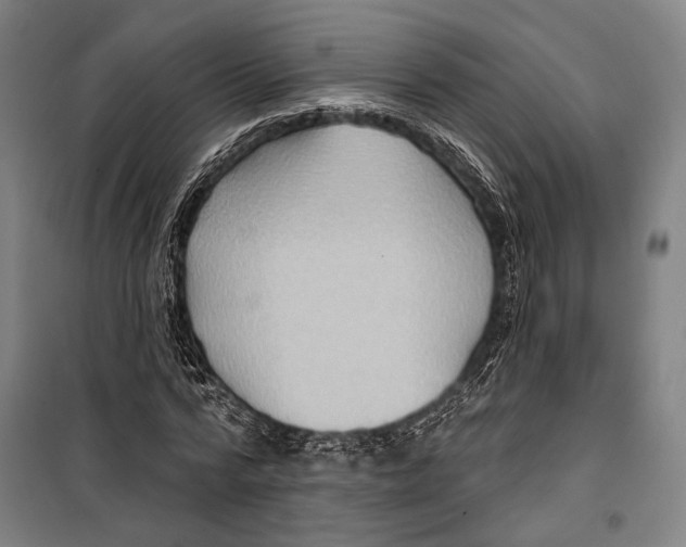 X0000099500776200806121414