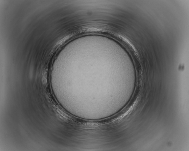 X0000099500777200806121414