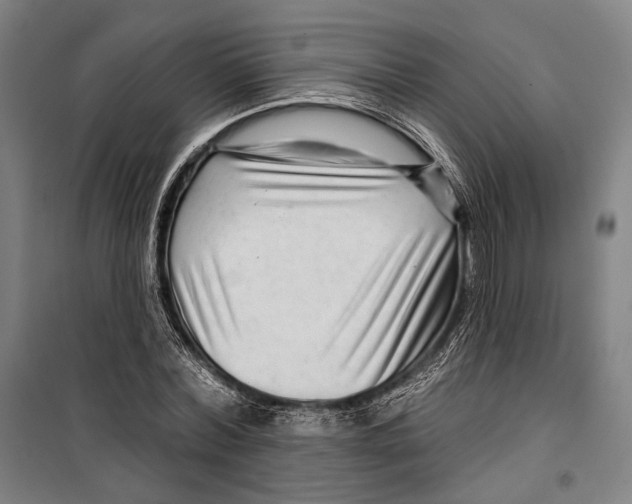 X0000099500780200806121414