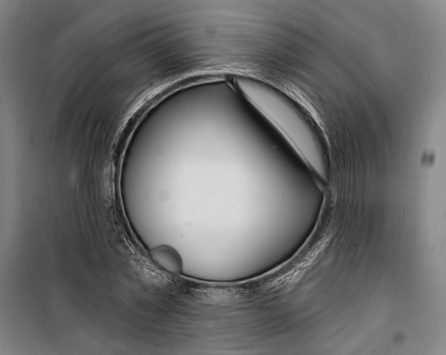 X0000099500781200806121414