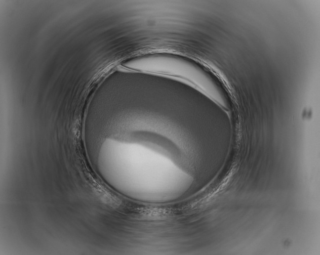 X0000099500785200806121414