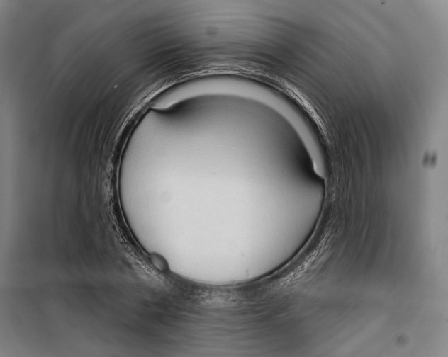 X0000099500786200806121414