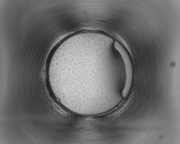 X0000099500787200806121414