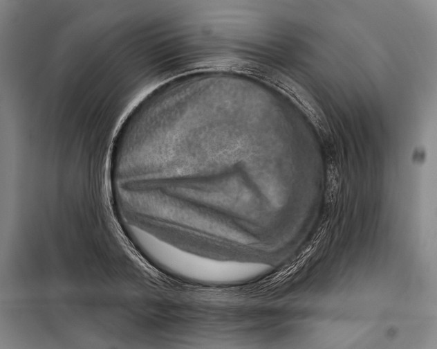 X0000099500788200806121414