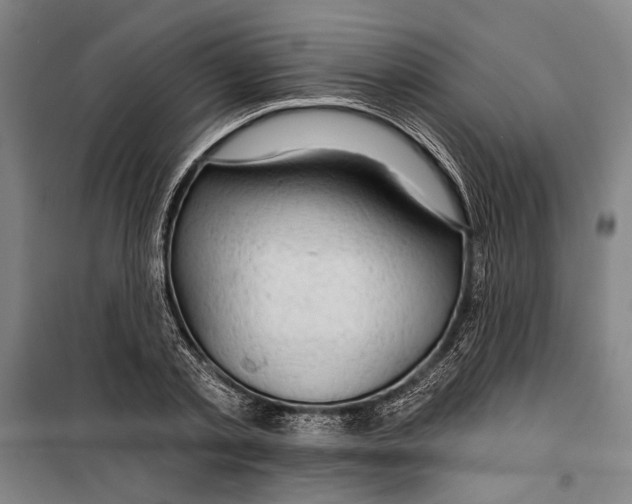 X0000099500789200806121414