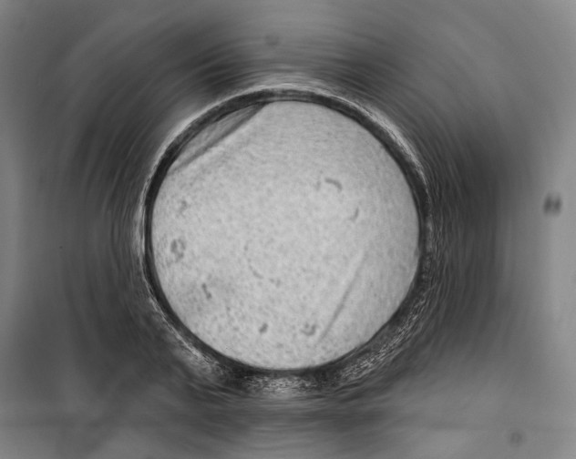 X0000099500791200806121414