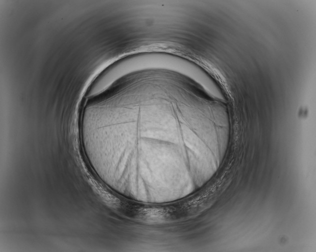 X0000099500792200806121414