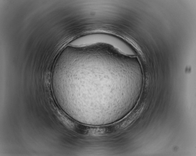 X0000099500793200806121414