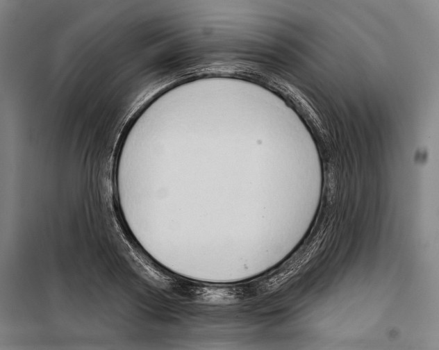 X0000099500794200806121414