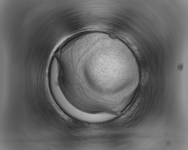 X0000099500796200806121414