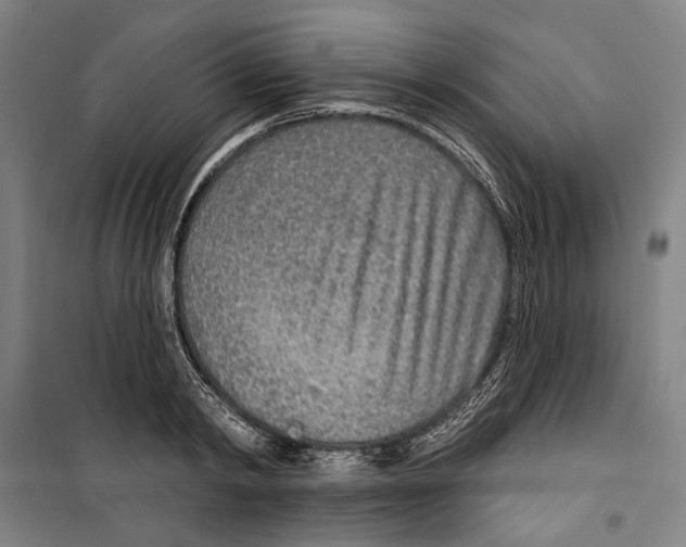 X0000099500798200806121414