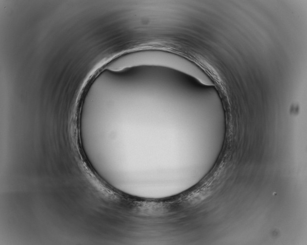 X0000099500800200806121414