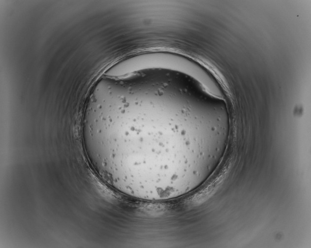 X0000099500801200806121414