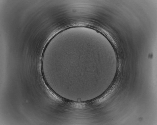 X0000099500802200806121414