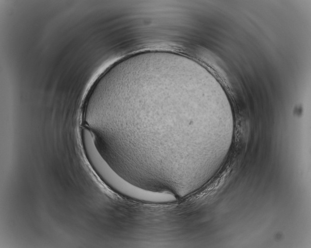 X0000099500804200806121414