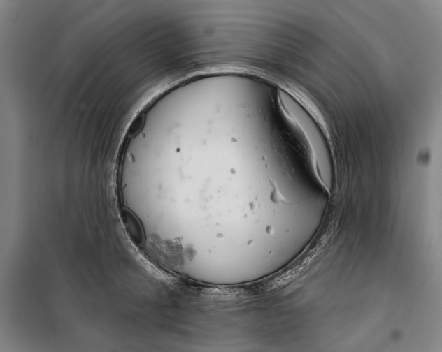 X0000099500805200806121414