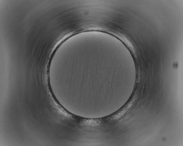 X0000099500806200806121414