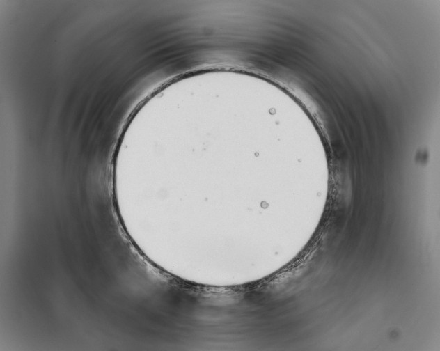 X0000099500807200806121414