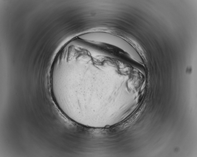 X0000099500808200806121414