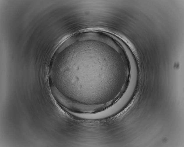 X0000099500809200806121414