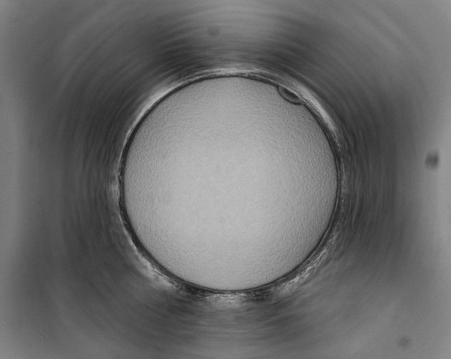 X0000099500810200806121414