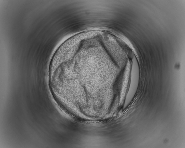 X0000099500811200806121414