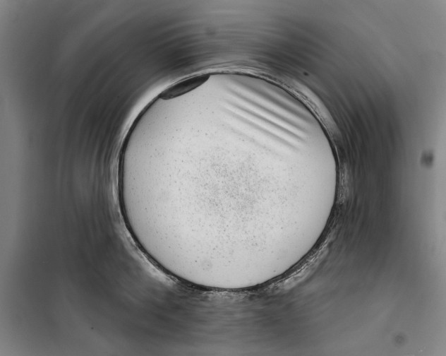 X0000099500812200806121414