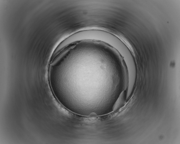 X0000099500813200806121414