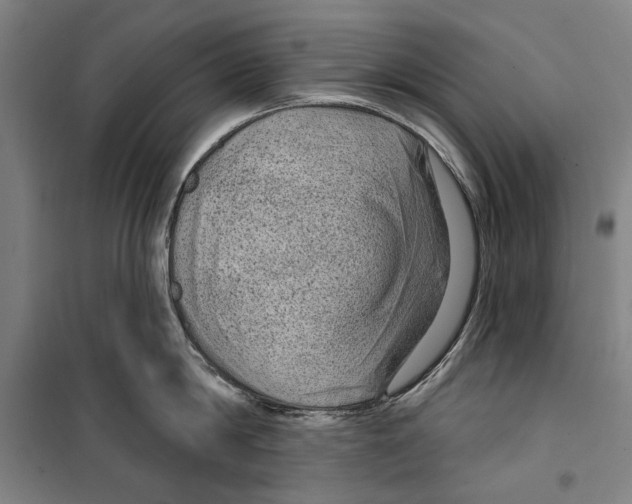 X0000099500814200806121414