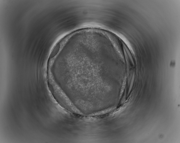 X0000099500815200806121414