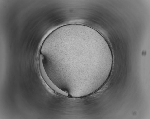 X0000099500816200806121414