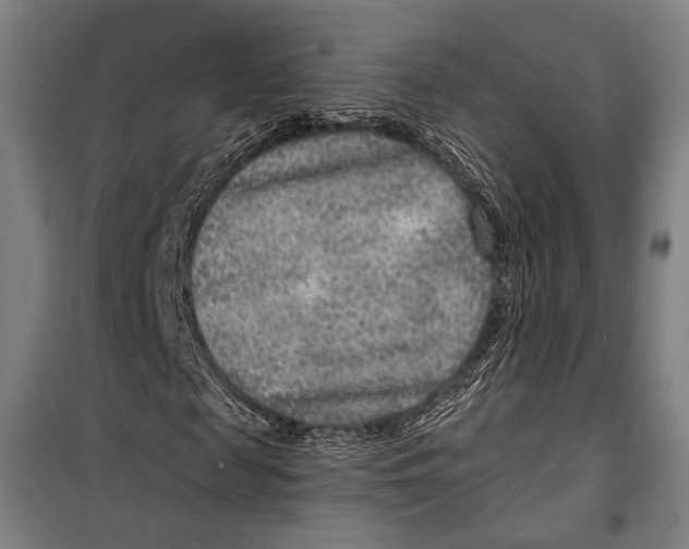 X0000099500817200806121413