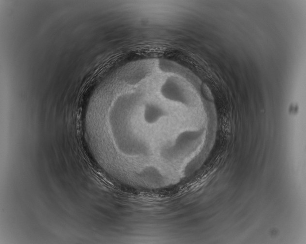 X0000099500818200806121413