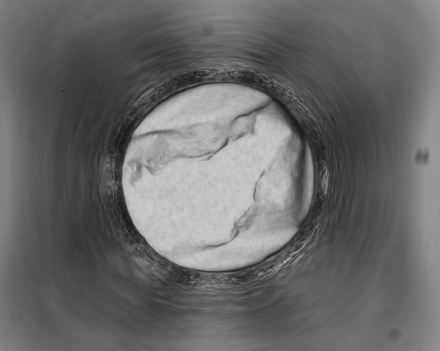 X0000099500819200806121413