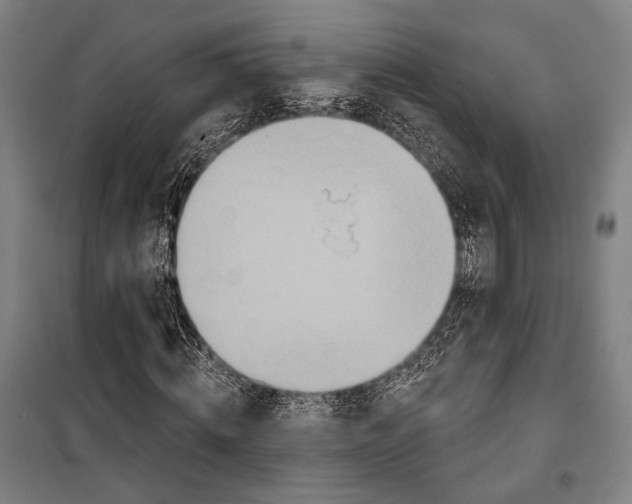 X0000099500820200806121413