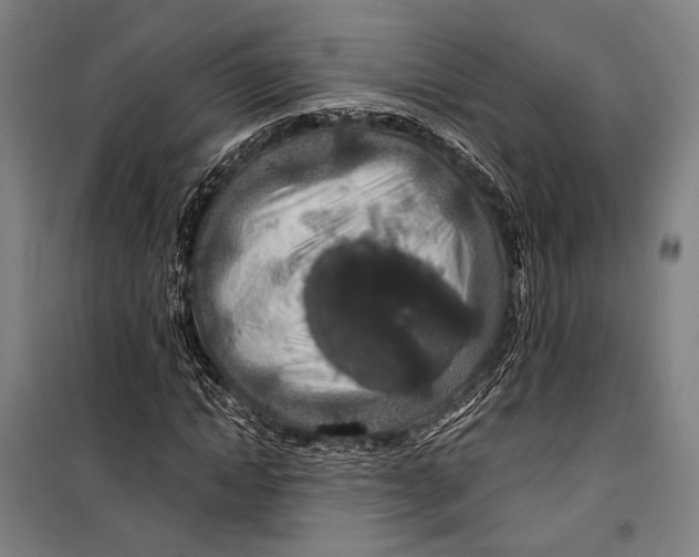 X0000099500822200806121413