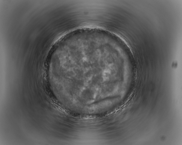 X0000099500823200806121413