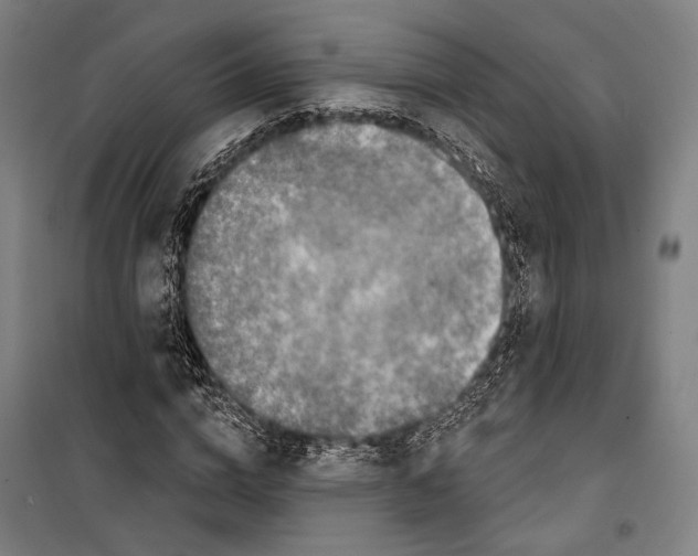 X0000099500824200806121413