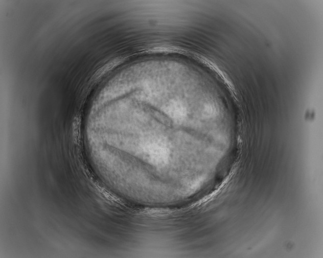 X0000099500825200806121413