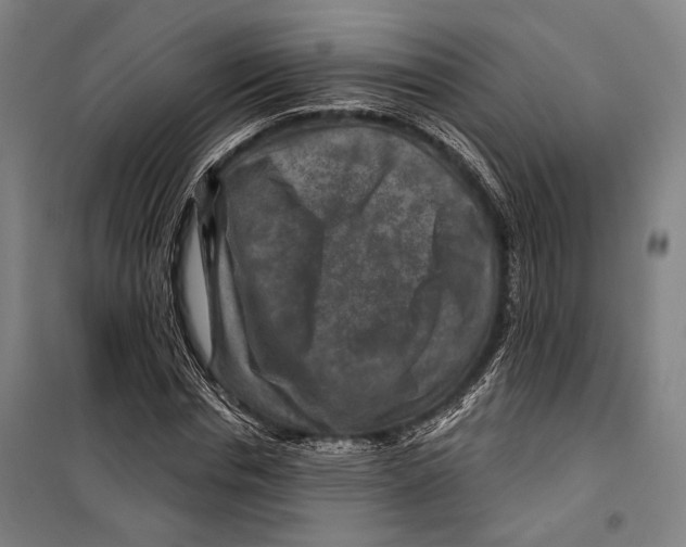 X0000099500826200806121413