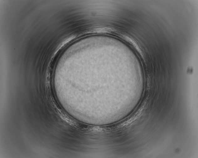 X0000099500827200806121413