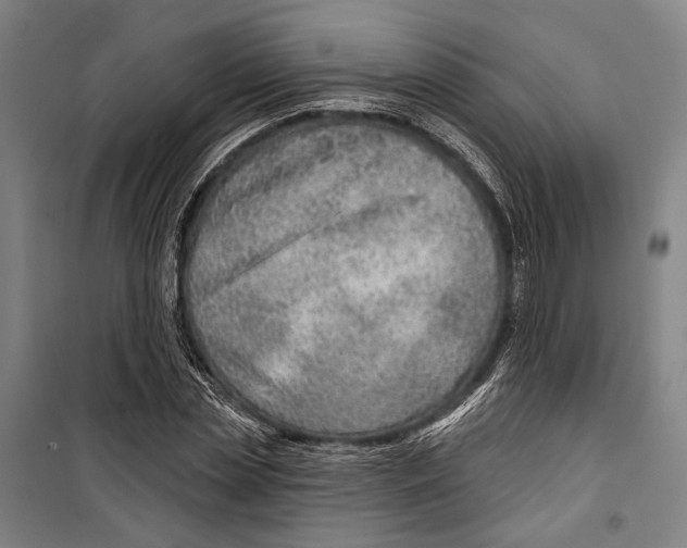 X0000099500829200806121413