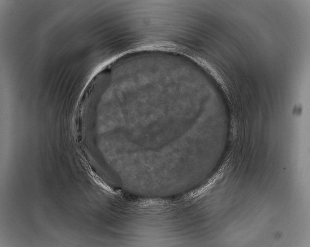 X0000099500830200806121413