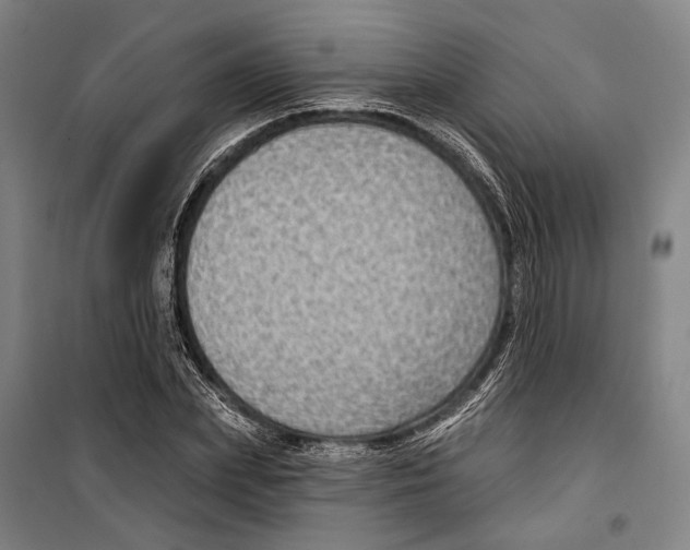 X0000099500831200806121413