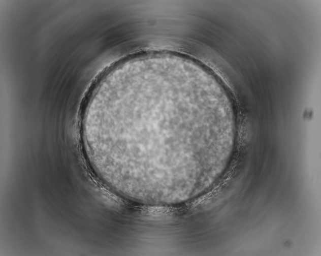 X0000099500832200806121413