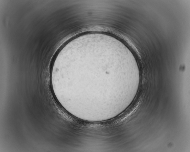 X0000099500837200806121413