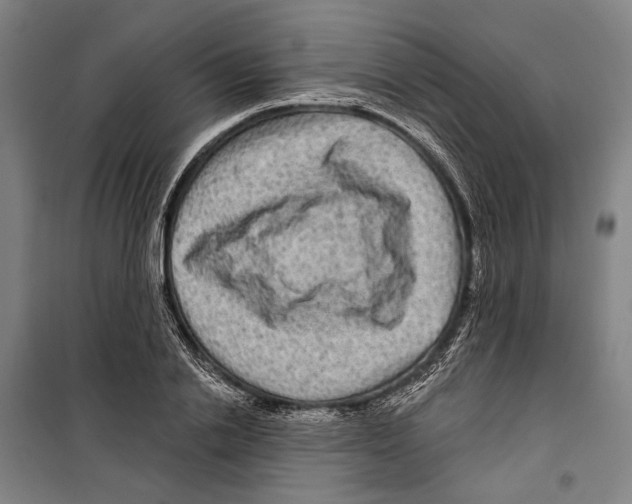 X0000099500838200806121413