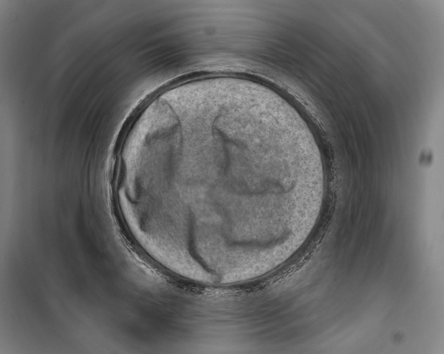 X0000099500840200806121413